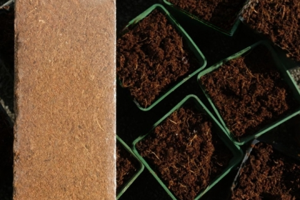 cocopeat-bricks